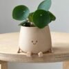 The Pip Sitting Planter