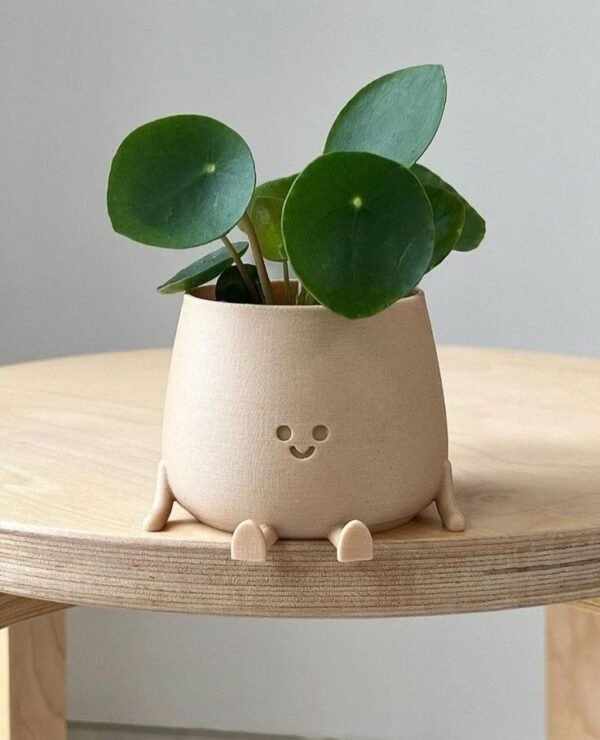 The Pip Sitting Planter